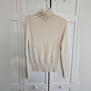 Banana Republic Merino Wool Turtleneck  Size S